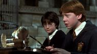 Harry and his best friend (Image via Instagram/@harrypotter)